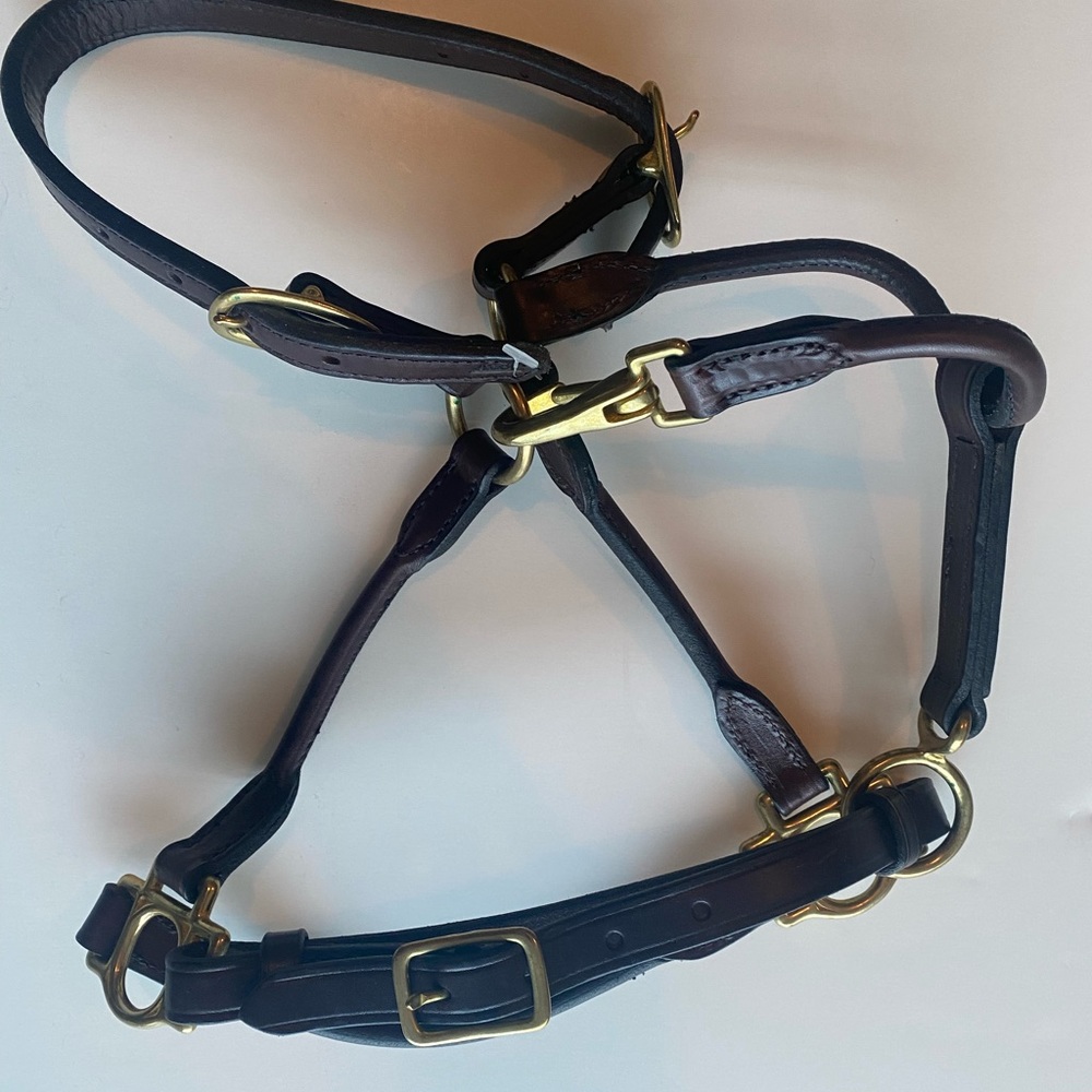 Genuine leather pony halter